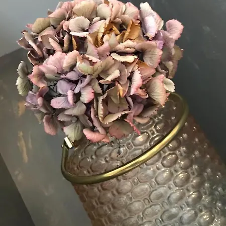 Nocleg ze śniadaniem D'hotes Du Chateau Boulogne-sur-Mer