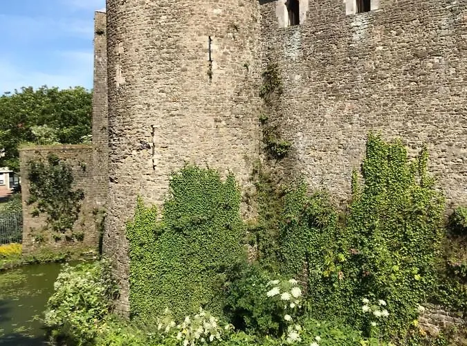 Bed & Breakfast D'hotes Du Chateau