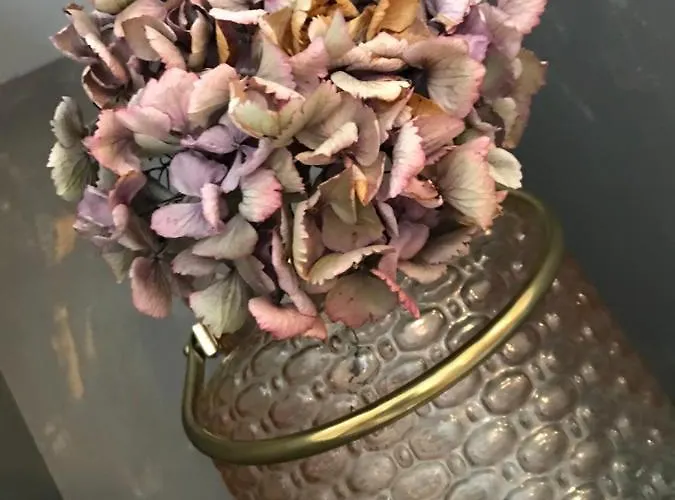 Bed & Breakfast D'hotes Du Chateau Boulogne-sur-Mer